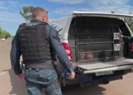 ENTREGADOR DE GÁS AVANÇA PREFERENCIAL E BATE EM CARRO