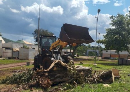 PREFEITURA DE DOURADOS REMOVE ÁRVORES NO INTERIOR DA FEIRA CENTRAL E GARANTE SEGURANÇA