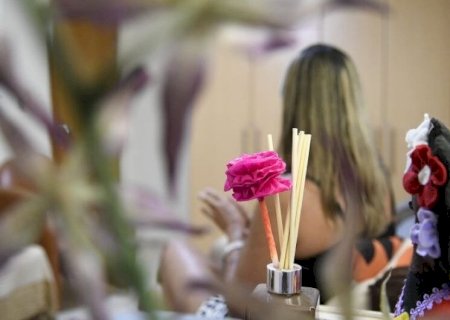 LEIS GARANTEM AUXÍLIO A VÍTIMAS DE VIOLÊNCIA DOMÉSTICA E PARA MULHERES CHEFE DE FAMÍLIA EM MS