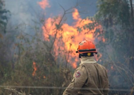 GOVERNO DECRETA EMERGÊNCIA AMBIENTAL EM MS POR SEIS MESES