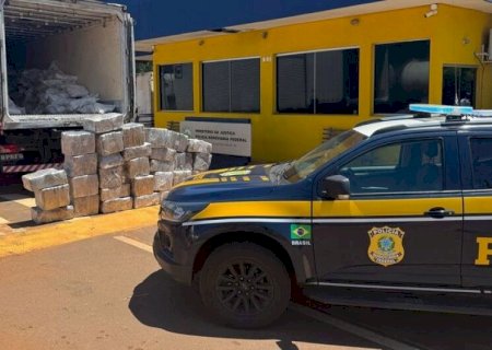 QUASE UMA TONELADA DE MACONHA É APREENDIDA EM CARGA DE CARNE