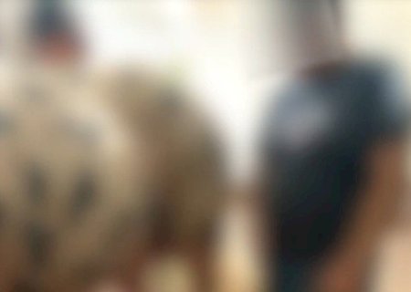 EMPRESÁRIOS SÃO INVESTIGADOS POR ABUSO DE ADOLESCENTES E MAUS-TRATOS A ANIMAIS EM HARAS DE MS