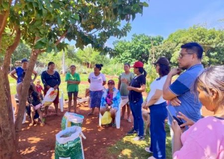 EM DOURADOS, SECRETARIA DE AGRICULTURA FAMILIAR REALIZA AS PRIMEIRAS ENTREGAS DE SEMENTES DE FEIJÃO