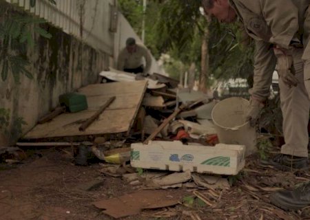 COM 4 MORTES EM INVESTIGAÇÃO, MS TEM QUASE 1/3 DAS CIDADES COM ALTA INCIDÊNCIA DE DENGUE