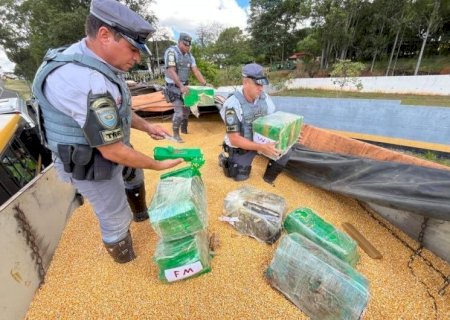 POLÍCIA APREENDE 2T DE MACONHA QUE SAIU DE DOURADINA COM DESTINO A SÃO PAULO