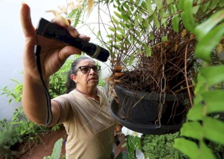 MAPEAMENTO REVELA AUMENTO DE DENGUE E CHIKUNGUNYA EM ÁREAS RURAIS DE MS