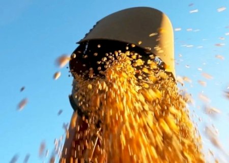 COMERCIALIZAÇÃO DE SOJA AVANÇA E PERCENTUAL ULTRAPASSA O ANO PASSADO