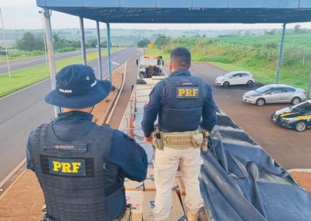 POLÍCIA APREENDE 2,2 TONELADAS DE AGROTÓXICOS E 200 MIL MAÇOS DE CIGARROS