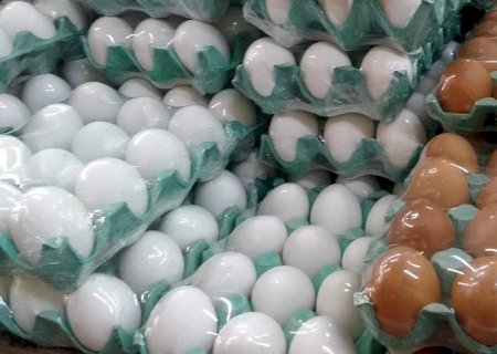 PREÇOS DOS OVOS CAEM EM MARÇO, E CARNE DE FRANGO VOLTA A SUBIR