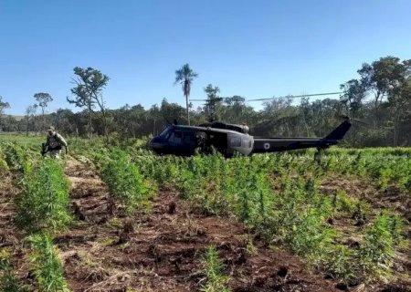 OPERAÇÃO DESTRÓI 859 TONELADAS DE MACONHA QUE CHEGARIAM AO BRASIL