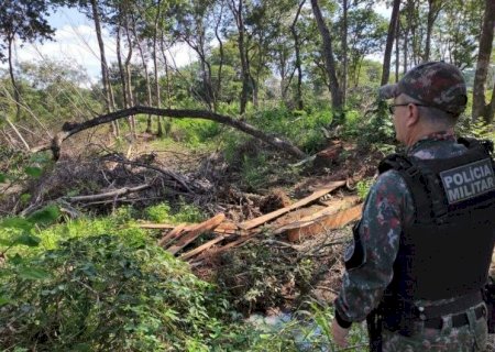 EMPRESÁRIO É MULTADO EM R$ 25 MIL POR DESMATAMENTO ILEGAL DURANTE OPERAÇÃO