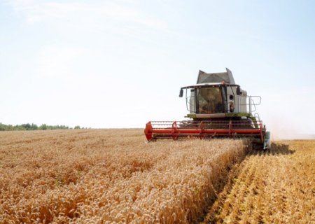 CRESCIMENTO DA ECONOMIA BRASILEIRA É IMPULSIONADO PELO AGRO NO PRIMEIRO TRIMESTRE