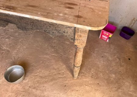 HOMEM É PRESO EM FLAGRANTE POR MORTE DE ANIMAL