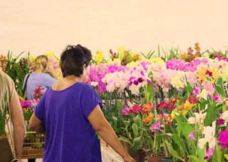 EXPOSIÇÃO TRAZ PLANTAS COM MAIS DE 25 ANOS E REVERTE PARTE DA RENDA AO LAR DO IDOSO DE DOURADOS