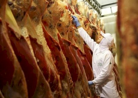 PRODUÇÃO ANIMAL CRESCE NO 1º TRIMESTRE DE 2025 E REFORÇA FORÇA DO AGRONEGÓCIO