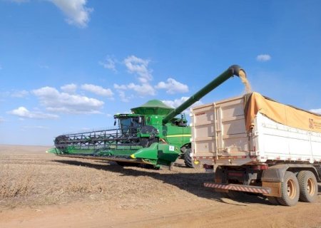 COLHEITA DA SAFRA 2024/2025 DE SOJA ALCANÇOU 99,8% DA ÁREA PLANTADA EM MS