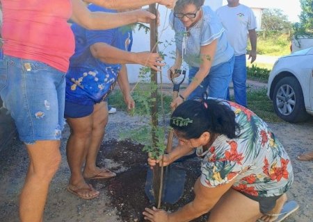 DOURADOS VAI SEDIAR EDIÇÃO DA PERIFEIRARTE