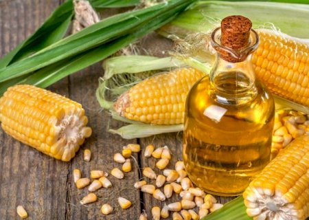 BRASIL EXPORTA US$ 15 BILHÕES EM ABRIL E REGISTRA RECORDES EM PRODUTOS MENOS TRADICIONAIS
