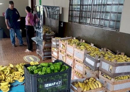PREFEITURA JÁ DISTRIBUIU QUASE 10 TONELADAS DE ALIMENTOS ATRAVÉS DO PAA