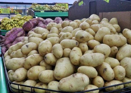 CESTA BÁSICA TEM NOVA ALTA EM DOURADOS PUXADA PELA BATATA E O CAFÉ