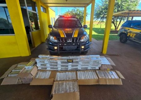 MOTORISTA DE CAMINHÃO É APREENDIDO COM QUASE 300 QUILOS DE MACONHA NA BR-163