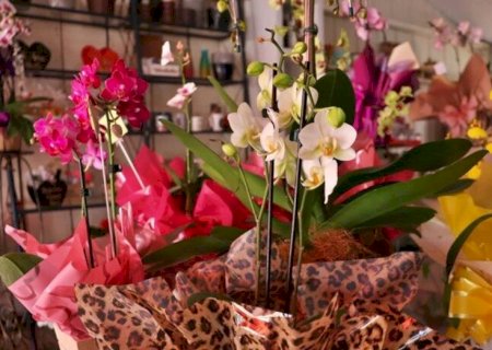 FLORES, SUSHI E CESTA; PROCON FAZ LEVANTAMENTO DE PREÇOS PARA DIA DOS NAMORADOS EM DOURADOS