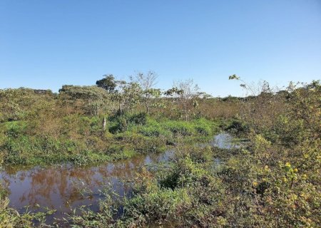 PREFEITURA DE DOURADOS INTENSIFICA ATIVIDADES NO DIA MUNDIAL DO MEIO AMBIENTE