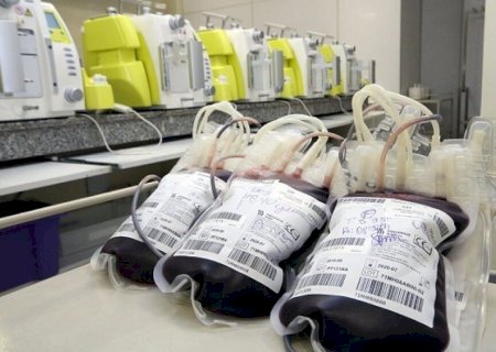SEGUNDO LEVANTAMENTO, MS COLETOU MAIS DE 50 MIL BOLSAS DE SANGUE NO ÚLTIMO ANO