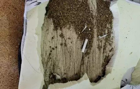ADVOGADA É PRESA AO TENTAR ENTRAR EM PRESÍDIO COM COLCHÃO RECHEADO DE MACONHA