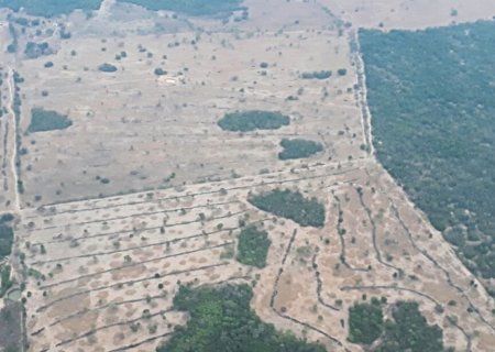 BNDES NEGA R$ 10,7 MILHÕES EM CRÉDITO RURAL PARA DESMATADORES EM MS