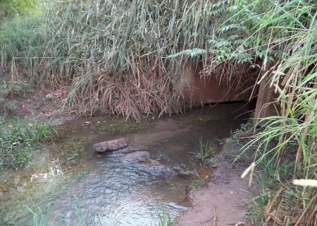 MP INVESTIGA LANÇAMENTO DE ESGOTO EM ÁREA DE PRESERVAÇÃO DO CÓRREGO LARANJA DOCE EM DOURADOS