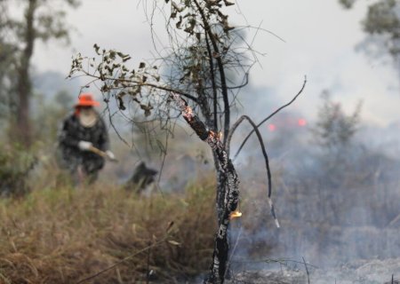 EM MS, 95 PROPRIEDADES PODEM SER DESAPROPRIADAS PELO STF