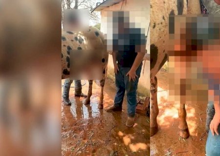 EMPRESÁRIOS VÃO RESPONDER POR ESTUPRO APÓS FAZER ADOLESCENTE MOLESTAR CAVALO EM MS