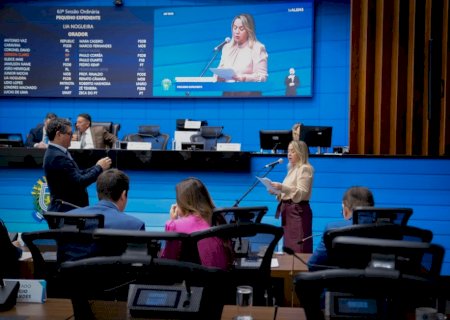GUAÇULÂNDIA RECEBE ILUMINAÇÃO NA MS-475 APÓS PEDIDO DE LIA NOGUEIRA