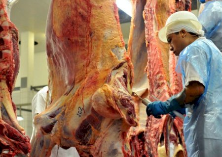 FRIGORÍFICOS LIDERAM RANKING DE ACIDENTES DE TRABALHO EM MATO GROSSO DO SUL