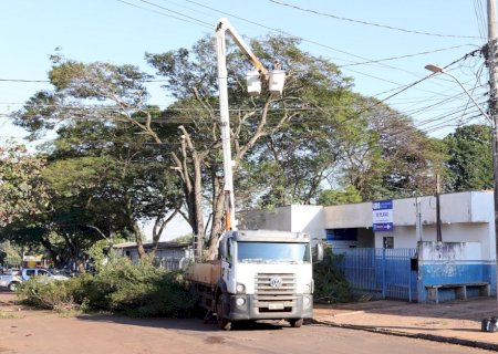PREFEITURA MELHORA INFRAESTRUTURA E FAZ SUPRESSÃO E PODAS DE ÁRVORES NA UBS IV PLANO