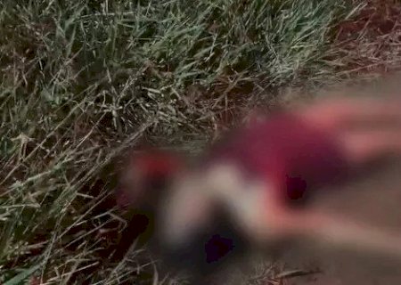 GRITANDO POR SOCORRO, MULHER É ENCONTRADA FERIDA ÀS MARGENS DA RODOVIA