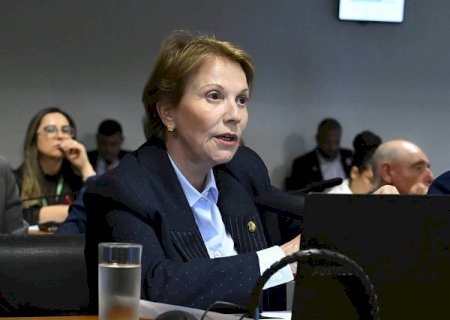 TEREZA CRISTINA É PLANO B DE BOLSONARISTAS PARA DISPUTAR PRESIDÊNCIA DO SENADO EM 2027