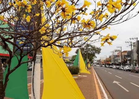 TUDO PRONTO PARA O DESFILE DESTE DOMINGO