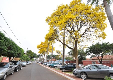 DEFESA CIVIL DE DOURADOS ALERTA PARA CALOR ELEVADO, CHUVAS IRREGULARES E RISCO DE TEMPESTADES NA PRIMAVERA
