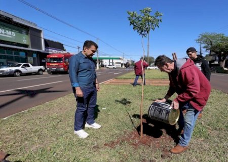 PREFEITURA DE DOURADOS CELEBRA SEMANA DA ÁRVORE COM DISTRIBUIÇÃO DE MIL MUDAS NATIVAS E FRUTÍFERAS
