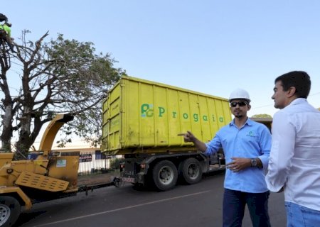 PREFEITURA DE DOURADOS INICIA SUPRESSÃO DE ÁRVORES CONDENADAS E VAI PLANTAR O DOBRO DE MUDAS