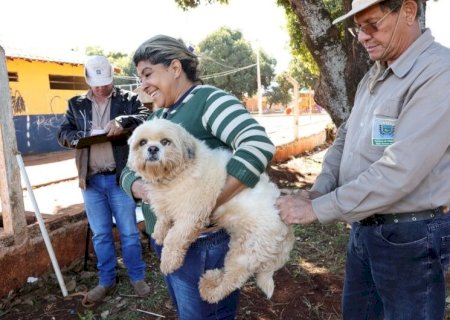 VEJA OS LOCAIS ONDE OCORRE A VACINAÇÃO ANTIRRÁBICA NESTA SEMANA EM DOURADOS