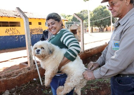 PREFEITURA DE DOURADOS SEGUE COM VACINAÇÃO ANTIRRÁBICA NA ÁREA RURAL NESTA SEMANA; VEJA PONTOS