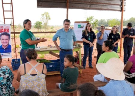 PROPOSTA POR LANDMARK, SEMANA DA AGROECOLOGIA TRANSFORMA MOBILIZAÇÃO EM PROJETO DE POLÍTICA PÚBLICA