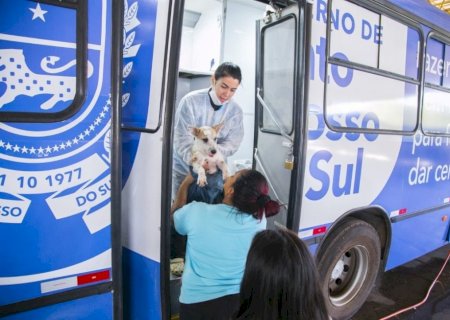 PREFEITURA DE DOURADOS PRIORIZA PROTEÇÃO ANIMAL COM A CARAVANA DA CASTRAÇÃO