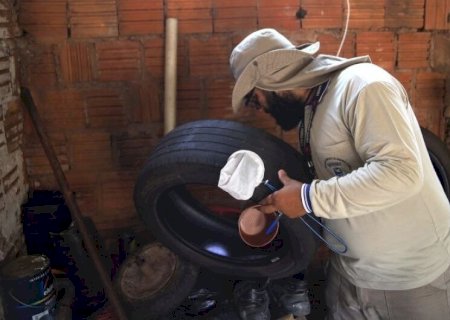 MORADOR EM DOURADOS É NOVA VÍTIMA DA DENGUE E MS REGISTRA 18 MORTES NO ANO