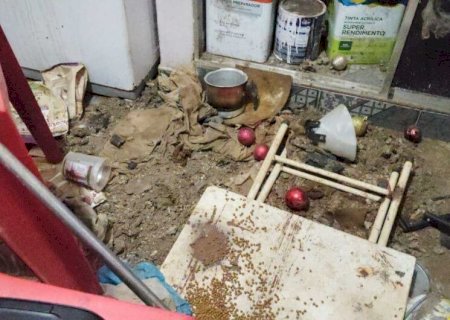 VIGILÂNCIA SANITÁRIA DE DOURADOS FECHA CASA INSALUBRE E CCZ RESGATA SEIS GATOS