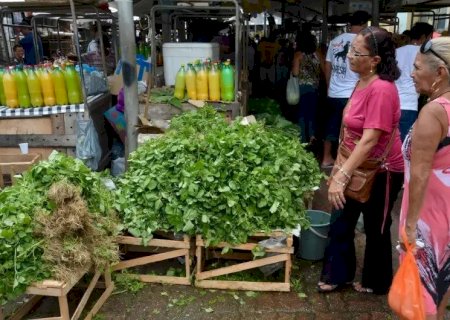 MERCADO DO POVO LEVARÁ MERCADOS MODULARES A PEQUENAS CIDADES