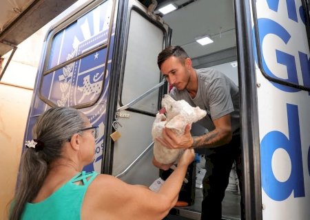 PREFEITURA ORIENTA QUE TUTORES LEVEM ANIMAIS EM JEJUM PARA CASTRAÇÃO; VEJA TODOS OS CUIDADOS